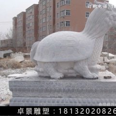 龍龜石雕，漢白玉龍龜?shù)袼? width=