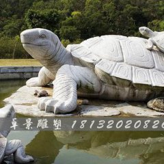 烏龜石雕，漢白玉烏龜?shù)袼? width=