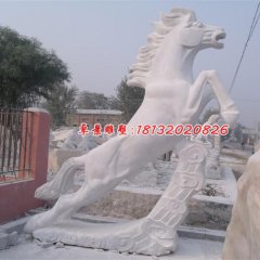 石雕馬，漢白玉馬雕塑，馬踏祥云石雕