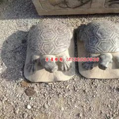 小烏龜石雕，公園動物石雕
