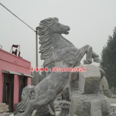 廣場立馬石雕，青石動(dòng)物雕塑