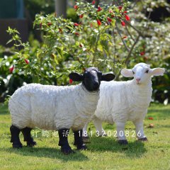 玻璃鋼仿真綿羊，玻璃鋼仿真綿羊雕塑