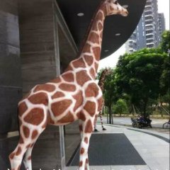 玻璃鋼長頸鹿雕塑，玻璃鋼仿真動物雕塑