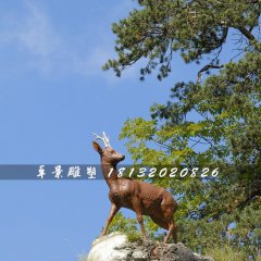 小鹿雕塑，玻璃鋼仿真動(dòng)物