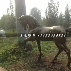 馬銅雕，公園動(dòng)物銅雕