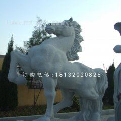 石雕馬，廣場(chǎng)動(dòng)物石雕