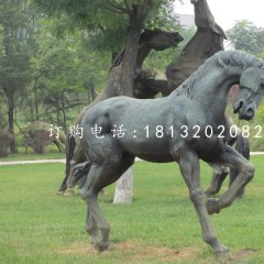 公園馬雕塑，銅雕馬